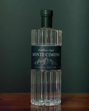 Monte Cimone London dry gin